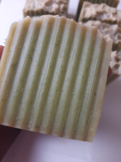 Aloe Vera Bar